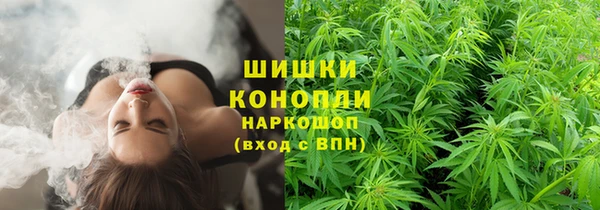 дурь Белоозёрский