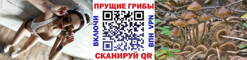 Псилоцибиновые грибы Magic Shrooms где купить Туапсе